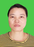 郑碧兰