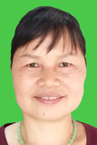 李有菊
