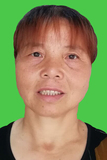 甘菊秀