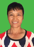 陈树梅