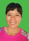 何春暖