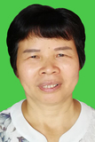 郑玉停