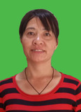 韦寿仙
